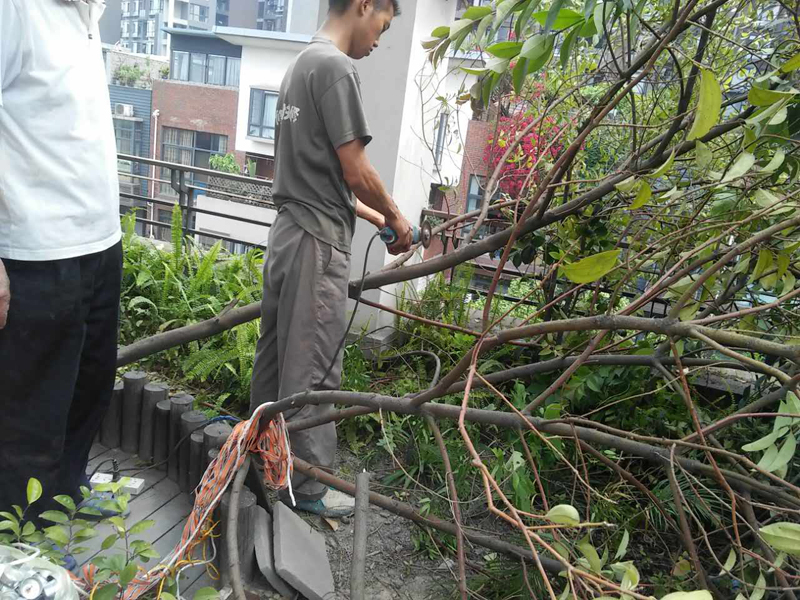 屋頂花園怎么裝修，樓頂花園裝修注意事